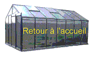 retour à l'accueil